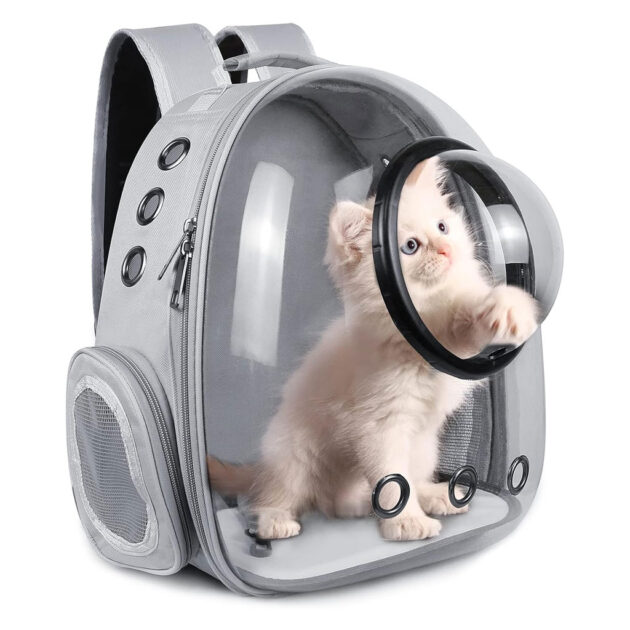 محفظة ظهر للحيوانات الأليفة