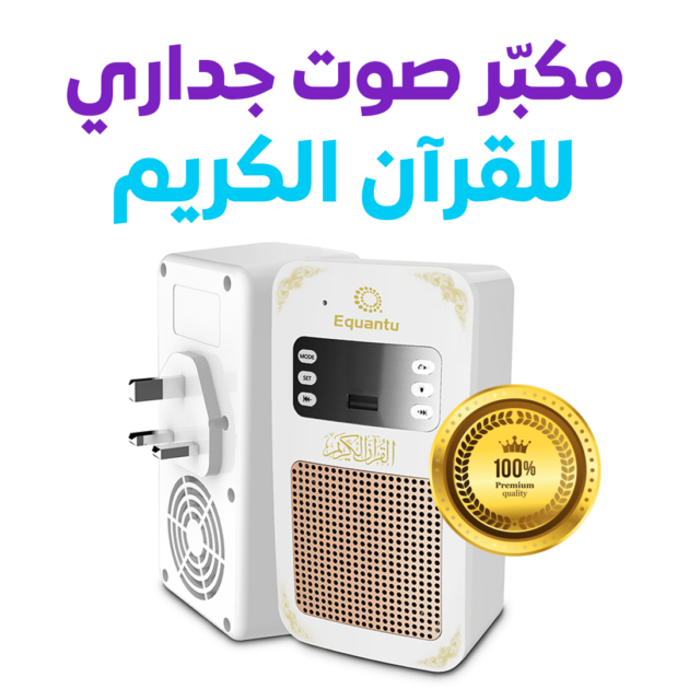 مكبر صوت جداري