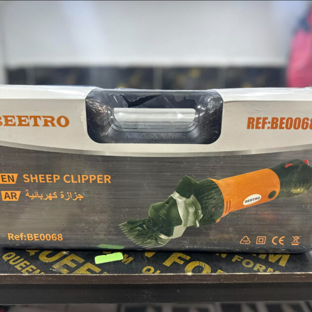 طوندوز الكباش