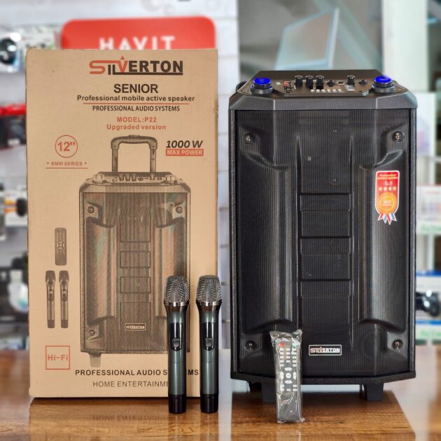 Baffle haut-parleur 1000W